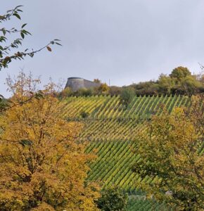 Randersacker im Herbst