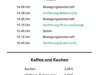Programm-Turnnachmittag